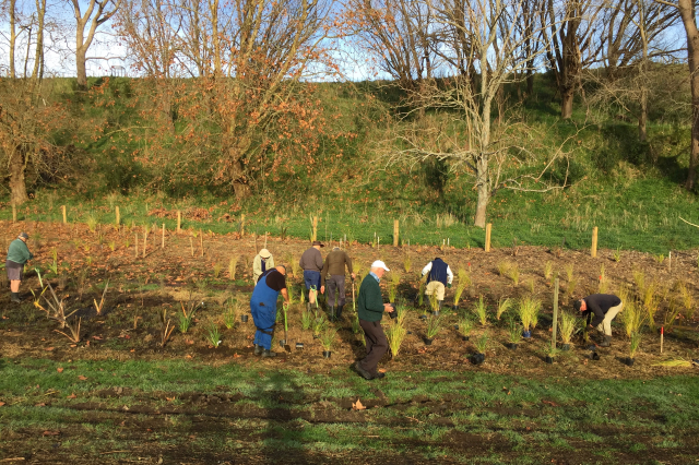 At the bottom 3. Cambridge Tree Trust